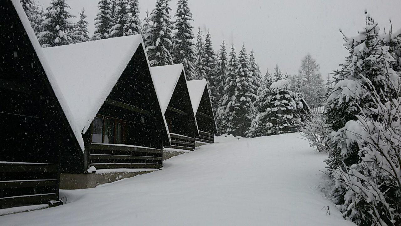 Hotel Maredis Kořenov Екстериор снимка